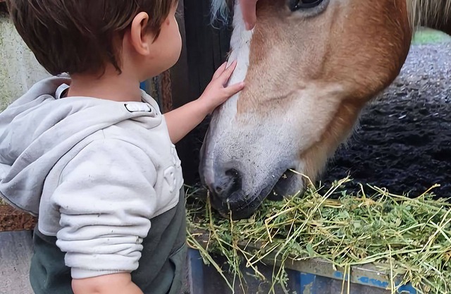 Rare beach/farm holiday experience with hands-on animal feeding!