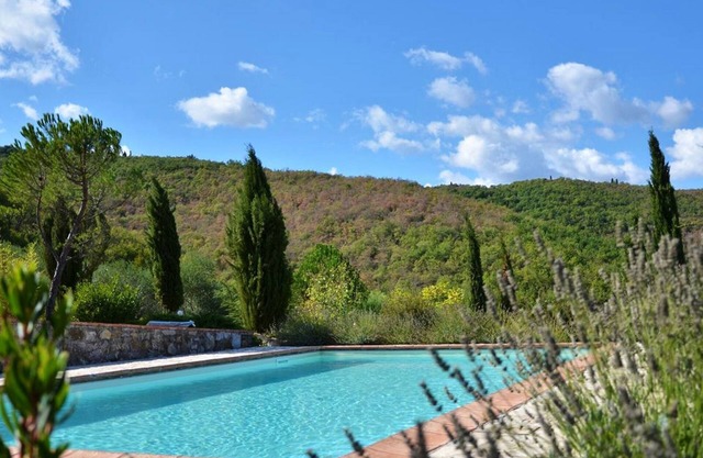 Antico Cipresso, Navico, Castellina in Chianti, Siena