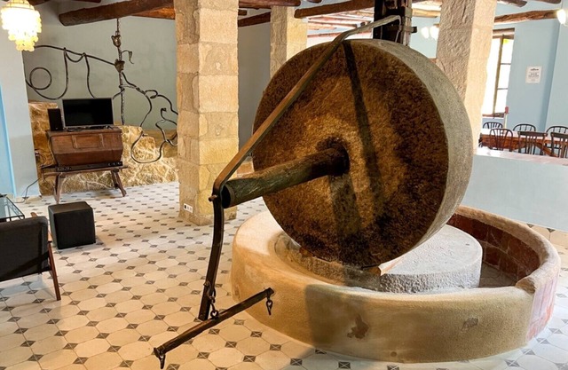 Antiguo Molino - Apartment with over 200sqm (former olive mill)