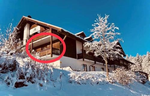 Aotearoa - Mountain apartment in Bavaria, Mitterdorf - Mitterfirmiansreut