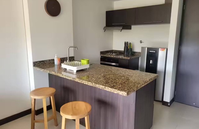 Aparta Suite Holet Rioverde Aeropuerto JMC