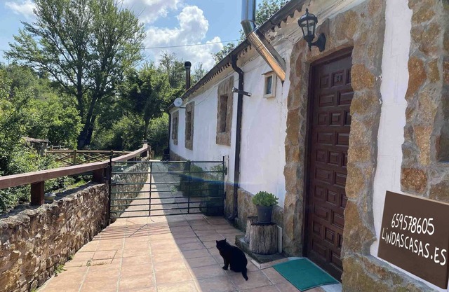 APARTAMENTO PETIT
