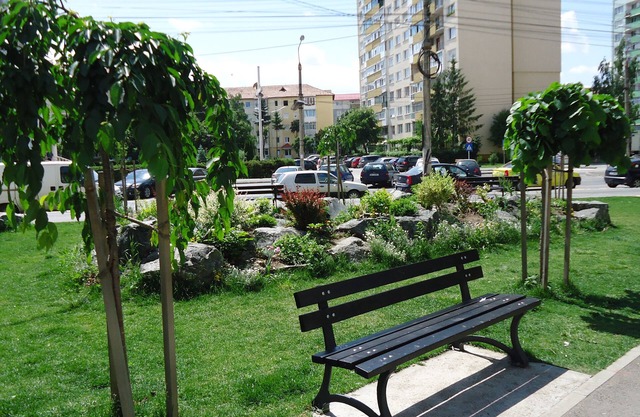 Apartament în regim hôtelier
