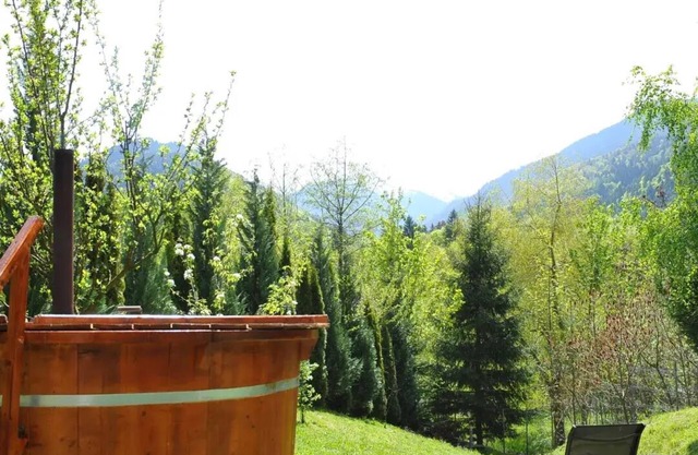 Apartament 2 camere Roberta Breaza Transylvania Petfriendly