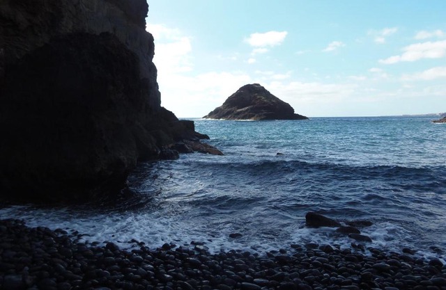 Apartamento Cerca del Mar Bajo A