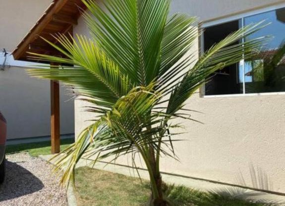 Apartamento Loft na Praia do Campeche!