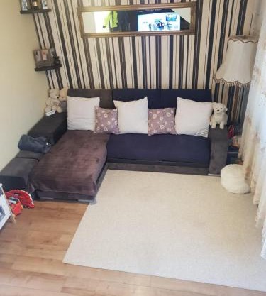 Apartamentul Iulia Oradea