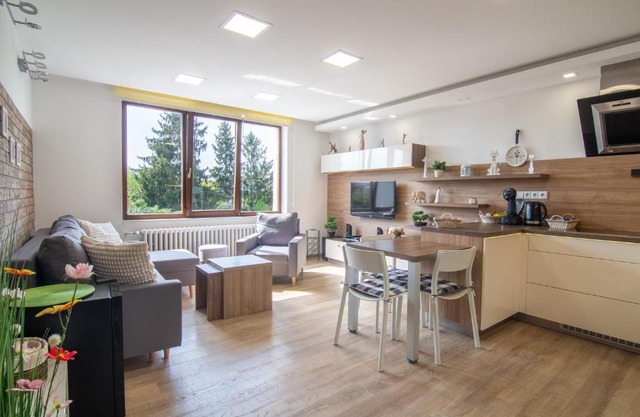 Apartmán U nás doma