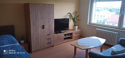 Apartmán V Sídlišti Rousínov