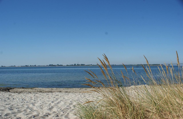 Apartment /app. for 4 guests with 85m² in Fehmarn OT Fehmarnsund (13626)