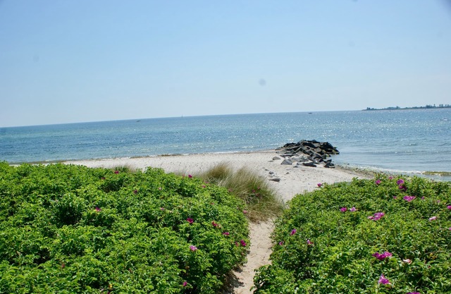 Apartment /app. for 4 guests with 100m² in Fehmarn OT Fehmarnsund (22244)
