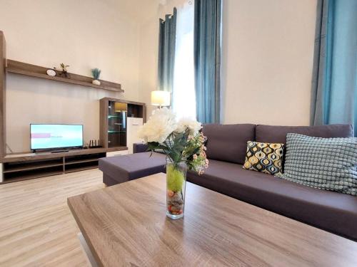 Apartment ČSA #1 in the Historic Center Hradec Králové