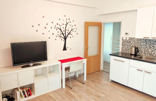 Apartment Žižkov