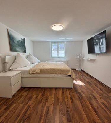 Apartment Altstadt 4