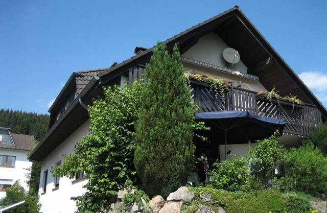 Appartement 'Am Patenberg' avec vue sur les montagnes, balcon et Wi-Fi