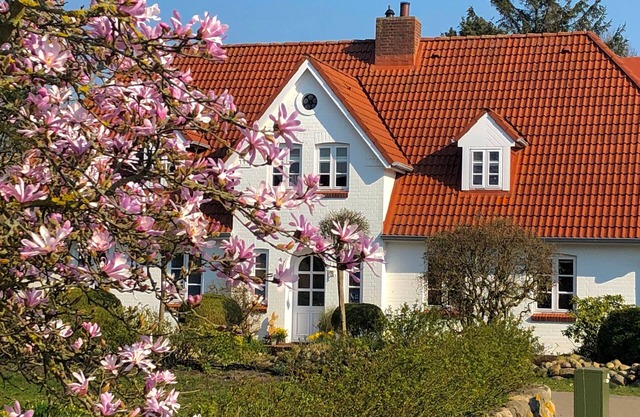 Appartement / app. pour 2 personnes à 56 m² à Wyk auf Föhr (111095)