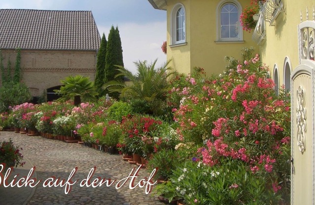 Appartement / app. pour 10 personnes à 100 m² à Zossen (125385)