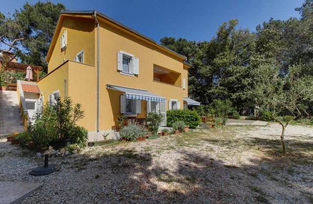 Apartment Artatore 8022d