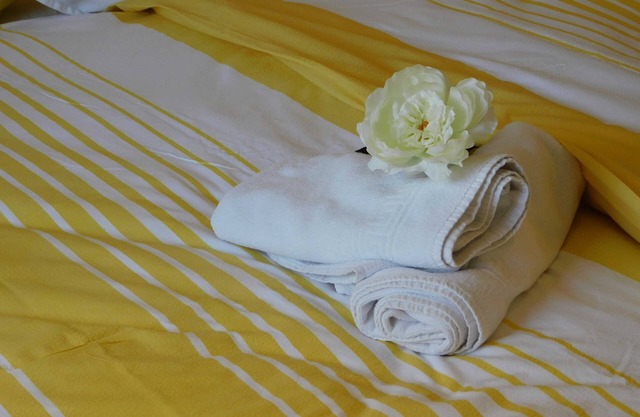 Apartment Astenblick 1 - 4 persons - Guesthouse Astenblick also bookable for small groups alone
