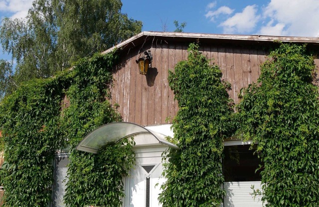 Appartement à l'écluse de Diemitzer (99123) - appartement à l'écluse de Diemitzer