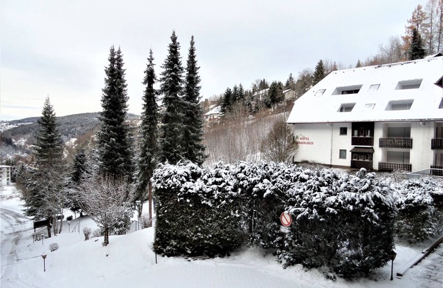 Appartement 'Bergblick' avec balcon et Wi-Fi