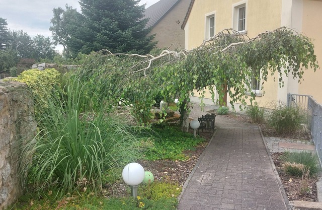 Appartement 'Birkenhof' avec Wi-Fi