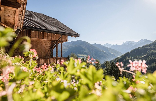Appartement "Bruneggerhof 2" avec vue sur les montagnes, jardin privé et Wi-Fi