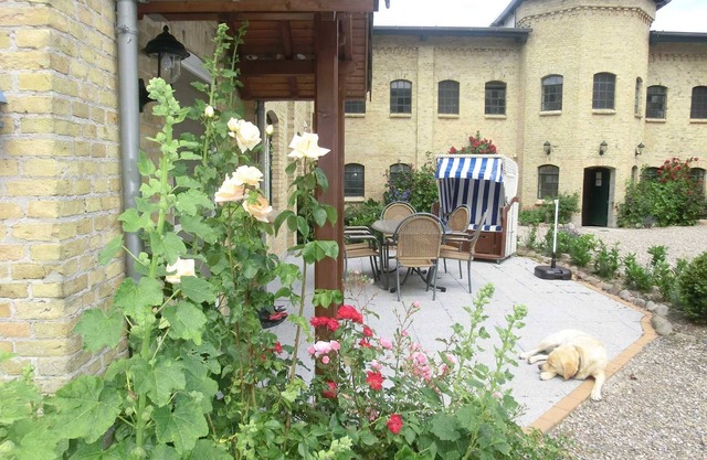 Cour de l'appartement - Ferienhof Börsby - Cour de l'appartement