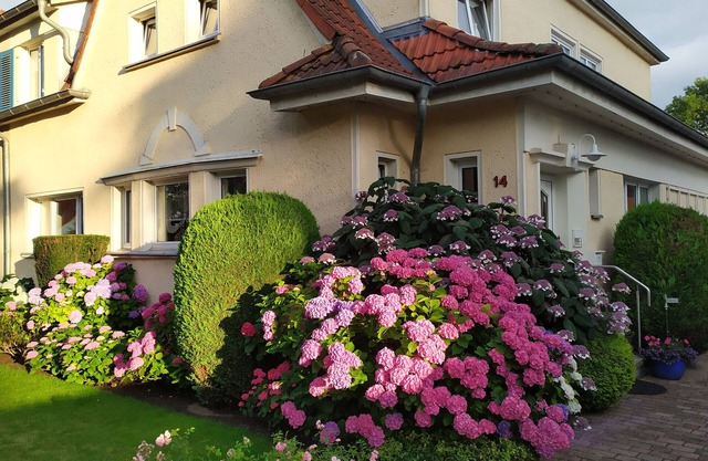 Appartement 'Ferienwohnung Bleichen' avec piscine privée, jardin partagé et Wi-Fi