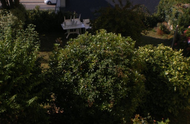 Appartement T2 avec terrasse et jardin vue voiliers