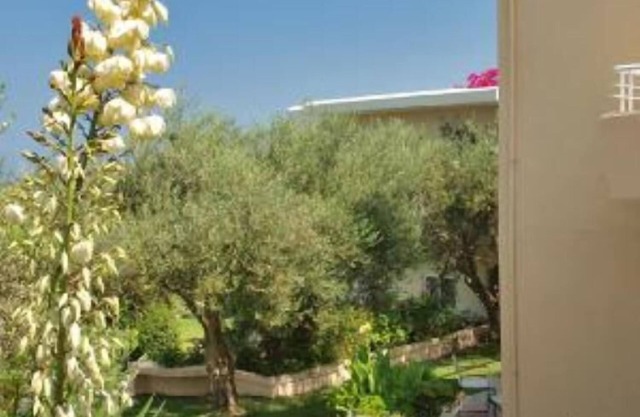 Appartement independant dans un champ d' oliviers, avec vue mer superbe.