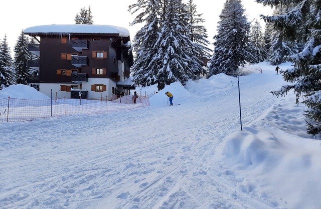 Appartement les saisies
