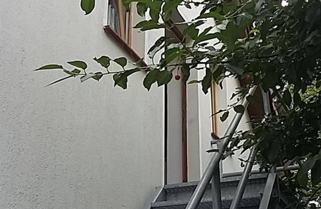 Appartement Franze