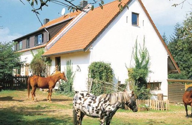 Ferienwohnung Hoffmann - Appartement à 4 lits - Non fumeur