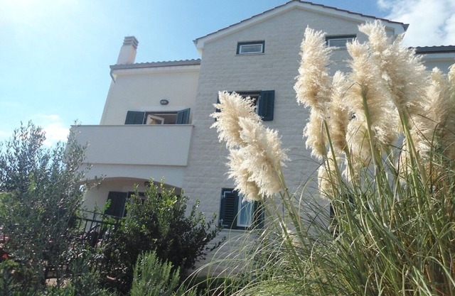 Appartement Azur - 10 m from sea: SA2(2+1) - Ilovik (Île de Ilovik), Île de Losinj, Croatie