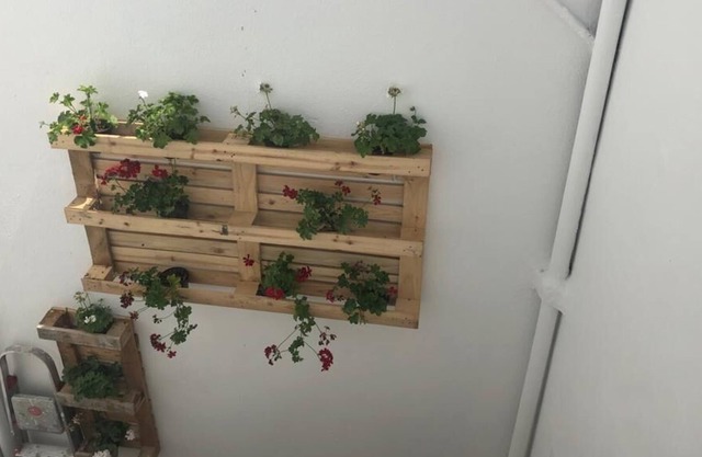 Appartement dans un village de pêcheurs