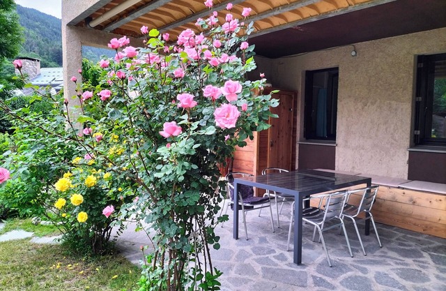 Appartement Dans Chalet à La Montagne