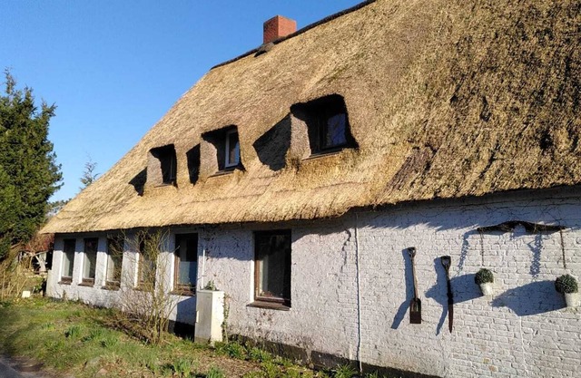 Apartment in a thatched house - 10 minutes to the North Sea