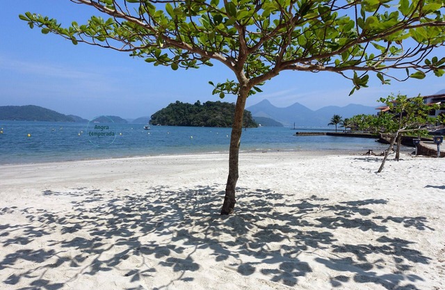 Appartement en copropriété avec 3 plages