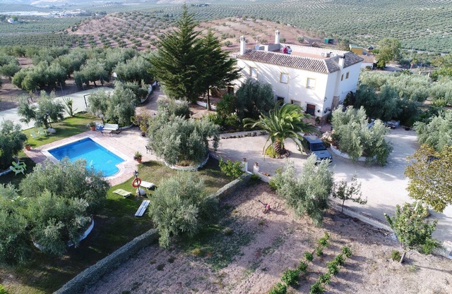 UN APPARTEMENT DANS UN AGROTOURISME ÉCOLOGIQUE SITUÉ DANS LE CENTRE GÉOGRAPHIQUE DE L'ANDALOUSIE IDÉALE POUR DES EXCURSIONS PAR L'ANDALOUSIE