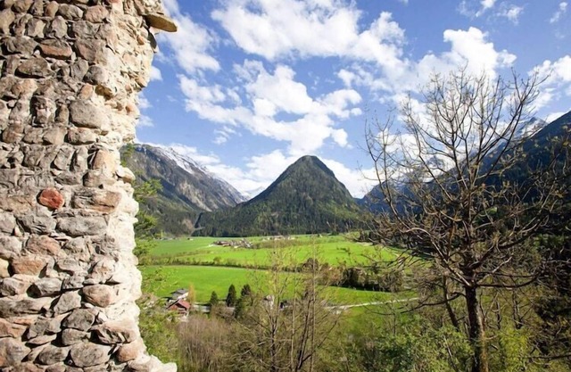 Appartement à Hohe Tauern près de Wildkogel