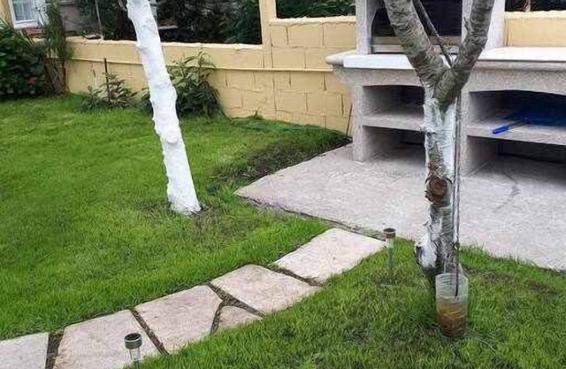 Apartment in Lariño with wifi