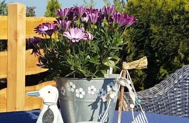 Apartment in Rieseby