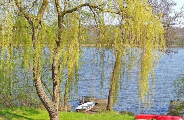 Appartement MOST 2341 - Appartement sur le haut lac Sprenzer MOST 2341
