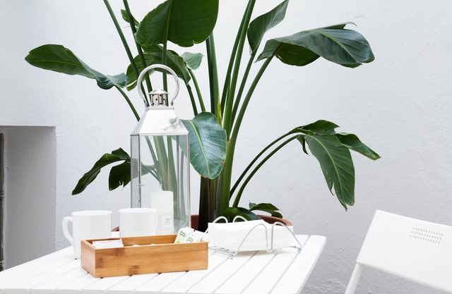 Appartement à côté de Las Tendillas avec garage