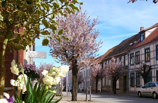 Appartement Nötzel
