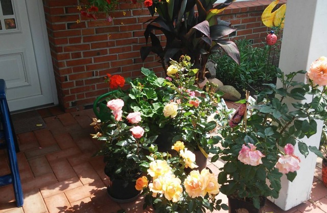 Appartement à l'étage supérieur avec jardin