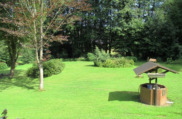 Appartement directement sur la forêt dans un endroit calme et isolé au coeur du Vulkaneifel