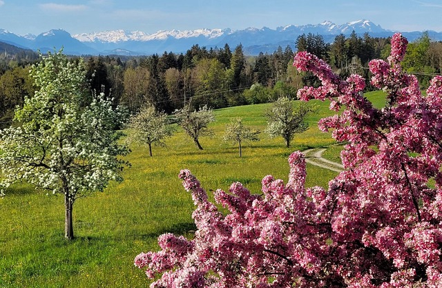 Appartement "Säntisblick" avec vue sur les montagnes, Wi-Fi, 15m² Balcon sur le toit