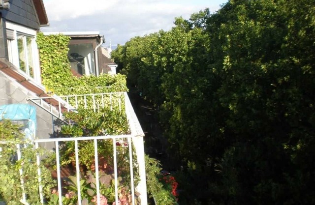 Appartement Stadtmitte - Dachapartment
